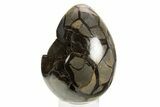 Septarian Dragon Egg Geode - Black Crystals #304619-2